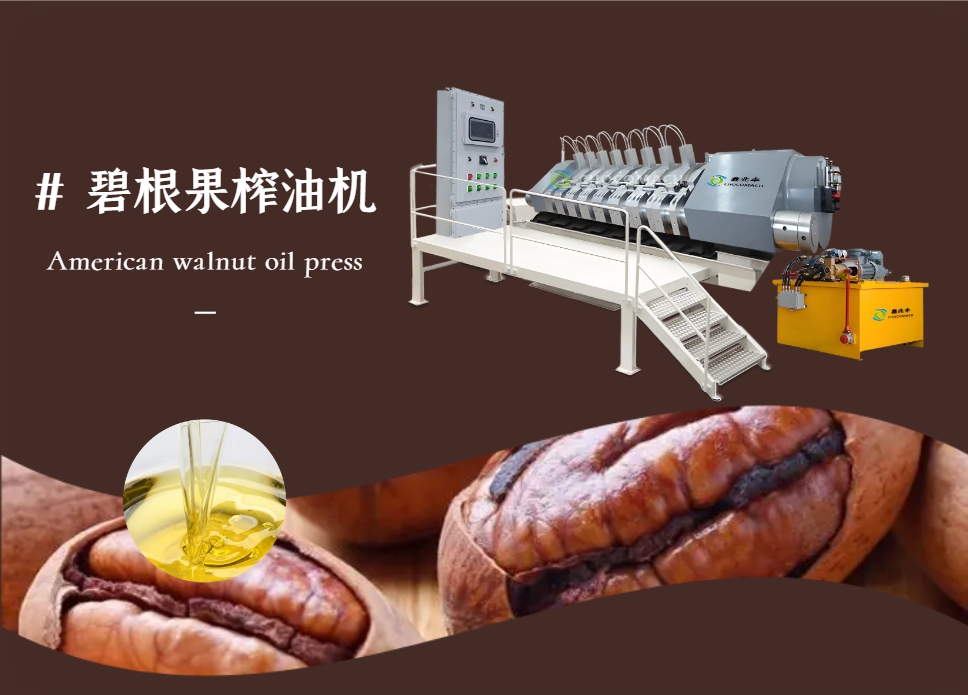 全自動液壓榨油機(jī)_YZYW42-6_美國核桃│碧根果榨油機(jī)